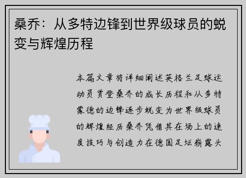 桑乔：从多特边锋到世界级球员的蜕变与辉煌历程