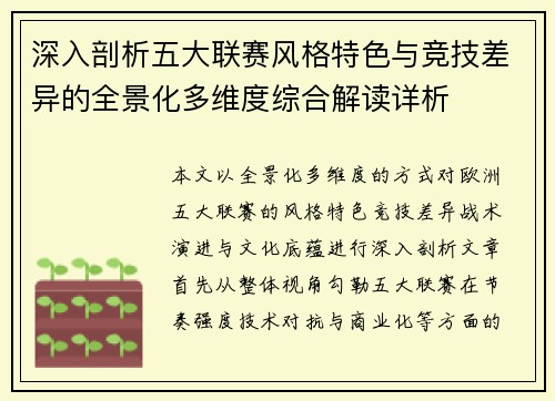 深入剖析五大联赛风格特色与竞技差异的全景化多维度综合解读详析
