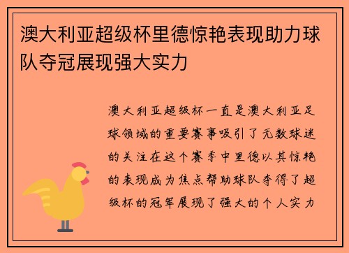 澳大利亚超级杯里德惊艳表现助力球队夺冠展现强大实力
